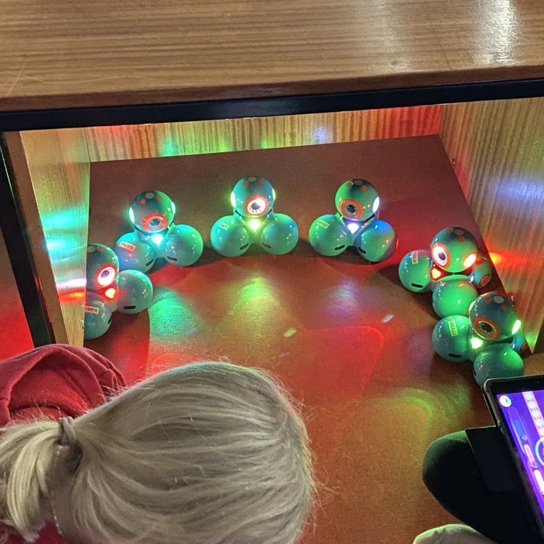 14fd9178-a11d-44d8-bff2-a9d618d18552