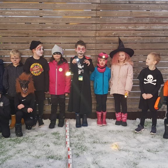 thumbnail_20191101_082435