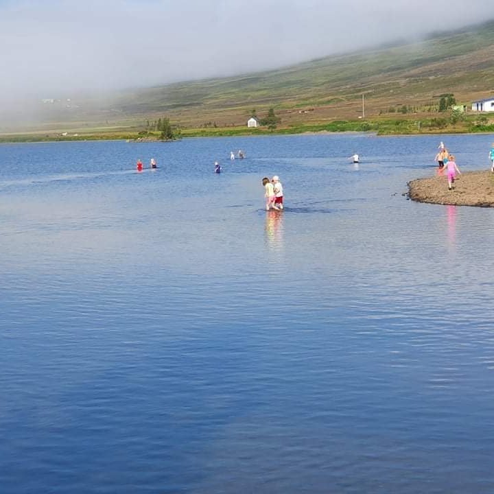 186b7a03-9a79-49d3-b658-ae5184a02486