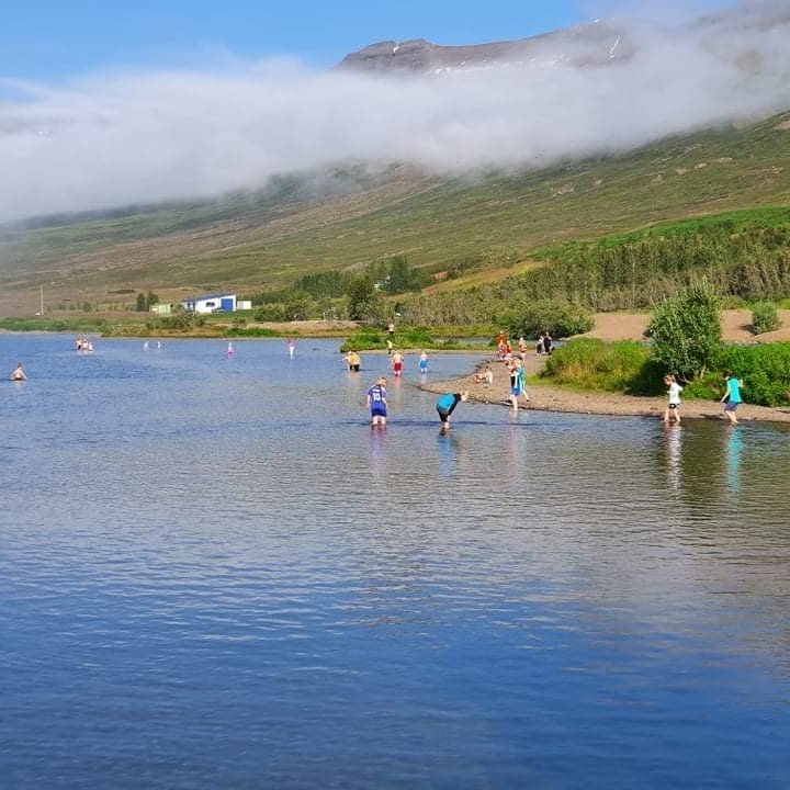 1a75e875-4269-4b2b-92df-e1667f8bcf6f