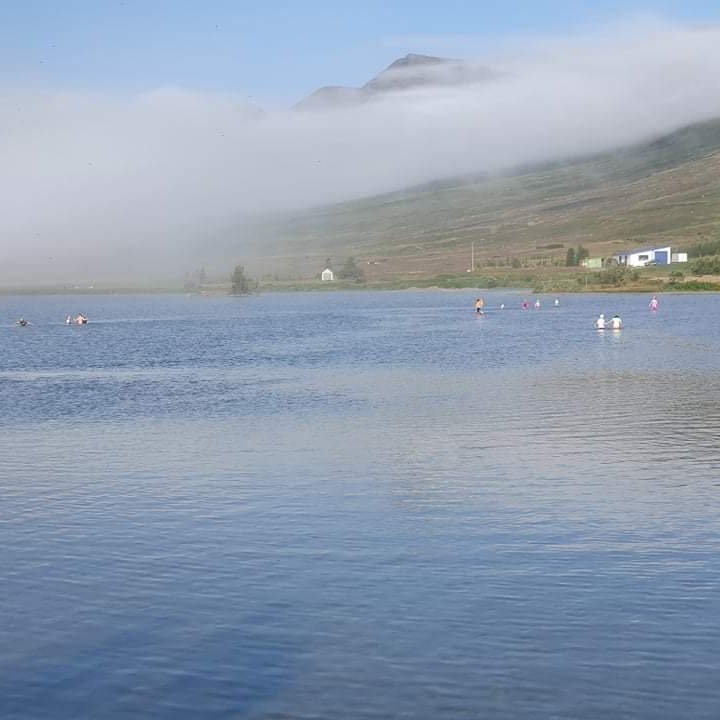 37185a1e-3907-4b07-8d64-dda5925f6387