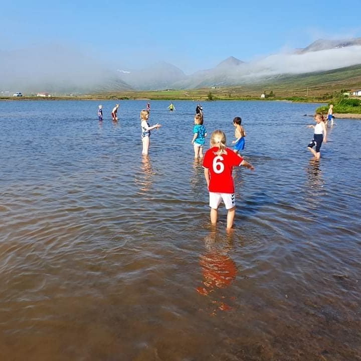 37a3979d-6ae1-44fc-90b2-34c3c6ac9f44