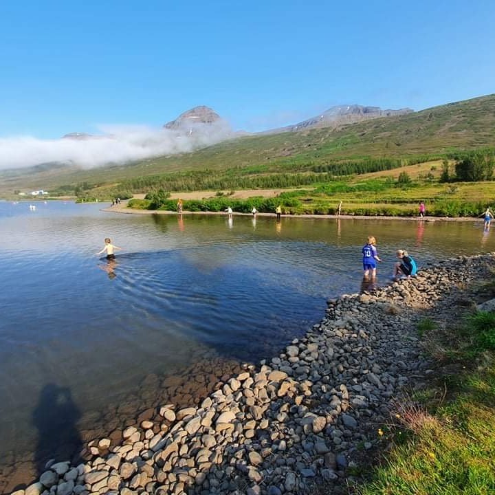 6168c37b-b544-4ebd-939f-b1bb05325bd0