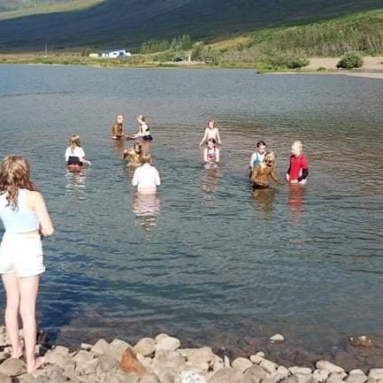 8156f9d6-e34e-4e3c-b158-aee3495ea10e