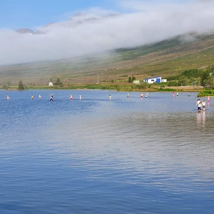 cb36af2c-f53d-441d-a15b-6dabd397ae24