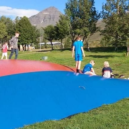 cf7ff411-6319-4652-a7e8-f693fff6f2f2