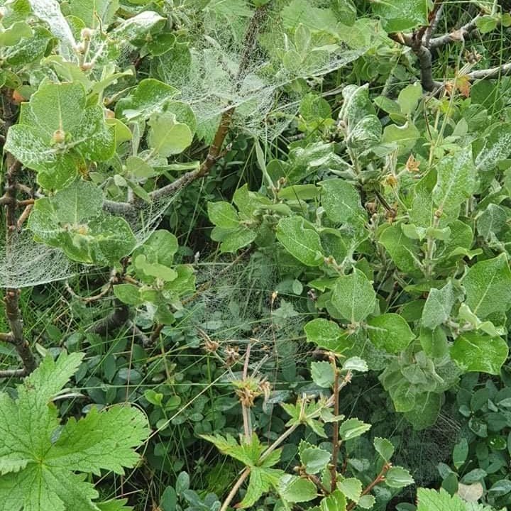 d822cced-1d0e-44ac-aea5-3e42a1b92e24