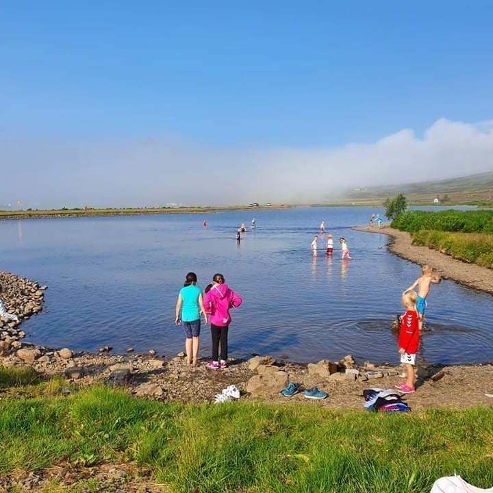 dc15fea8-286c-4249-8e69-1fcc13175528