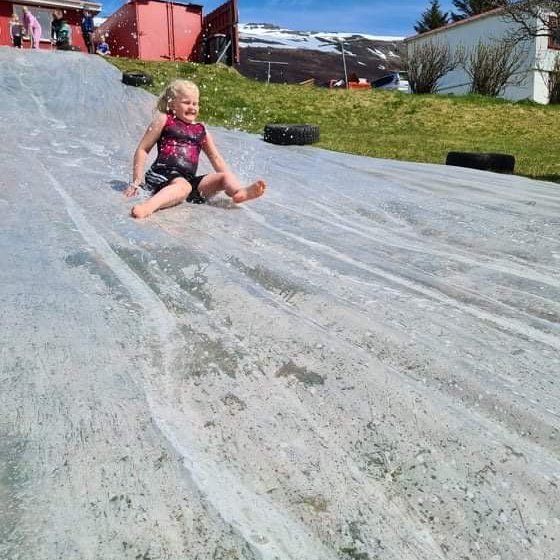 1ed92fed-8cd7-4164-9283-f97069cefd4a