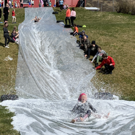 8d54159c-6e60-4de9-9811-e5f9744eb285