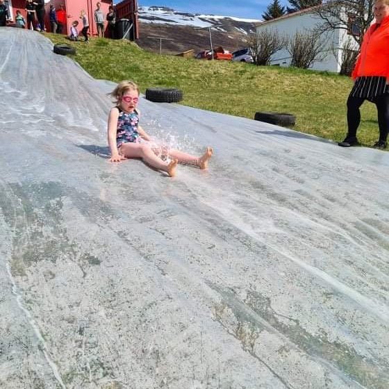 d04e5c65-2311-4484-95df-8a20e3c51faf