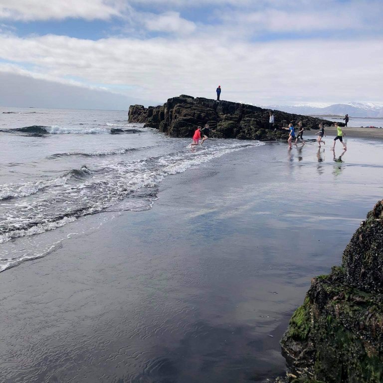 29979b36-c6c2-4a50-900f-6be32ca82218