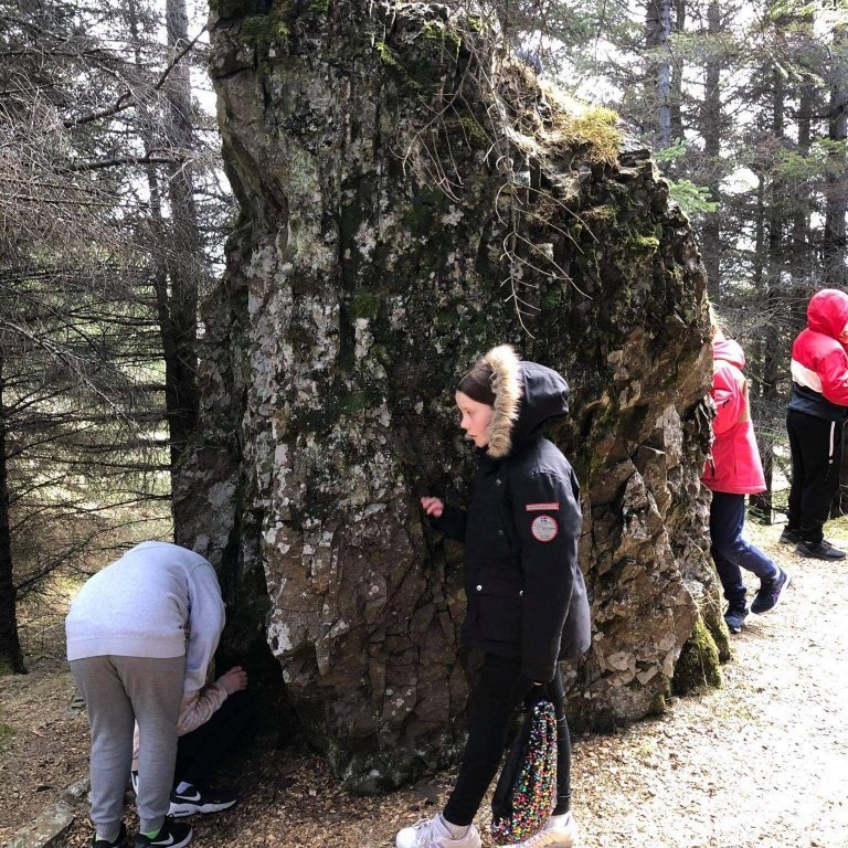 3d99eef5-9231-4067-9572-c0a6477cb0fc