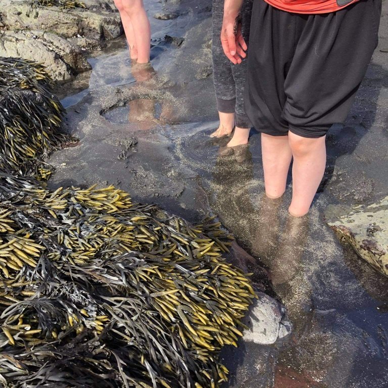 4fb548cc-91b2-4d86-b7b9-7048e26353b6