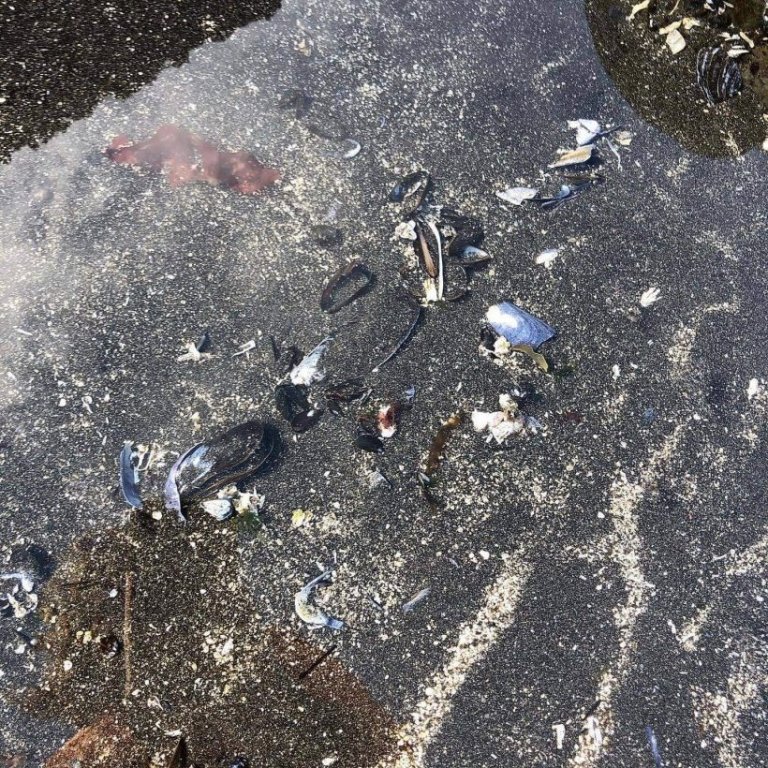 55286aa3-427d-4f08-9edb-e01b5b6f1562