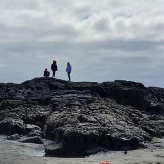 7b444fde-84f5-4a24-8880-abe97b359693