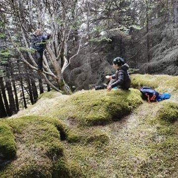 9626f808-05fb-4e9a-85c3-7214d3993ad7