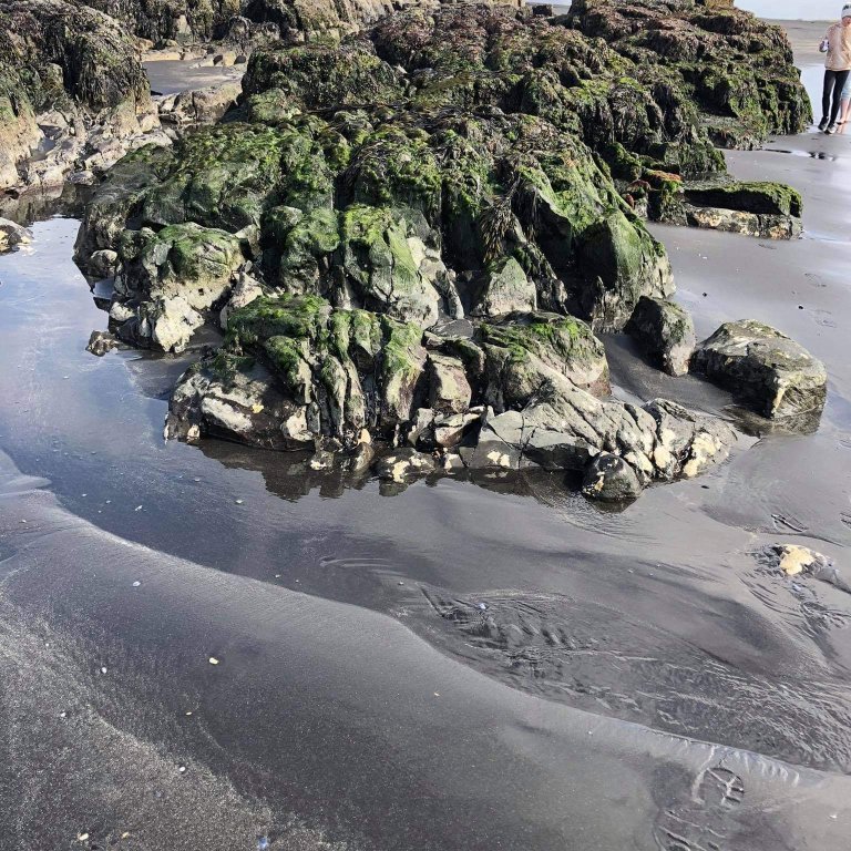 9e355987-a202-438c-8310-9442de4bce8e