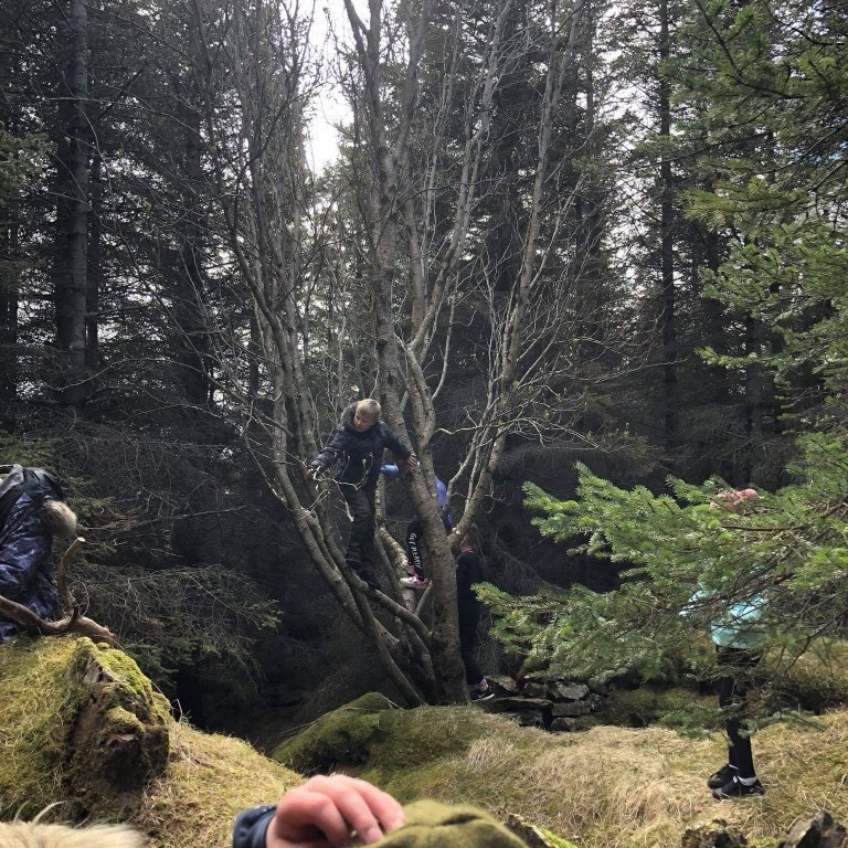 ada9ba35-ed78-4877-94b8-4846c38ad483