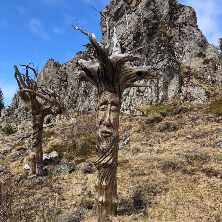 bf1a0d57-2e82-440f-a7b1-df07f1b15c0a