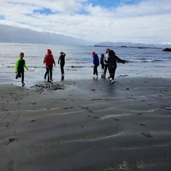 dd3469d4-cf7f-48c5-81b6-bb712c33f667