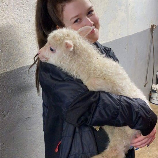 09af0ce9-278c-430b-8f96-6b2853f402b4