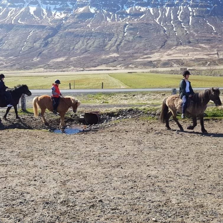 13b9097f-a5d7-45ed-9eac-6fc303f0f6ef