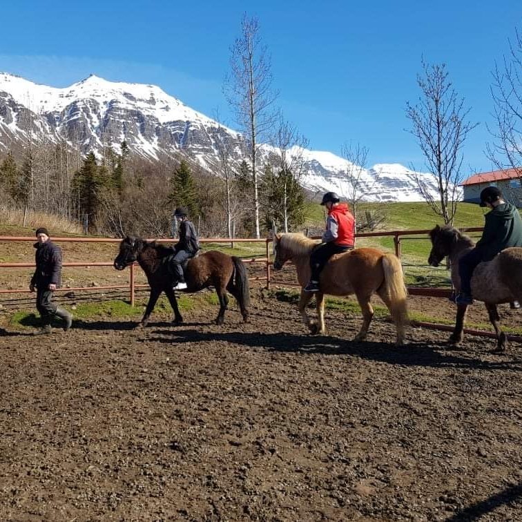 1b982c7b-c4bb-40d6-bd1b-8ed760d4aac7