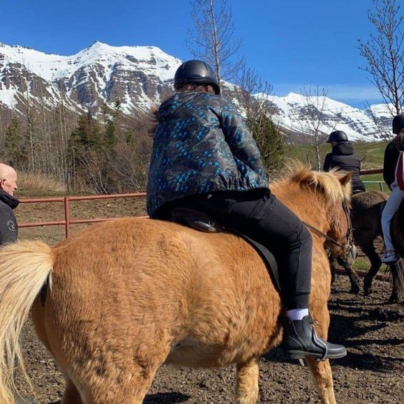 1f448ae8-bb5f-4fef-9026-dfb9c60e6377