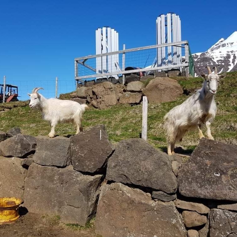 313479e7-3a4d-40fa-b7f0-665d04247bae