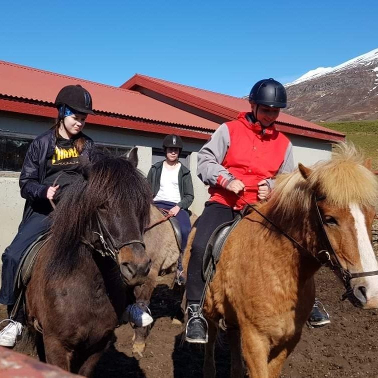 5ceab3c8-32fd-43e0-9e23-6a7813e0c010