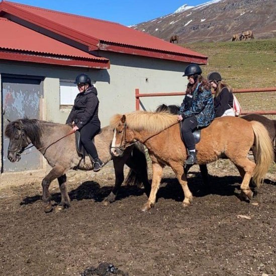 65c93a9b-a417-4aca-9ea2-76140455b43a