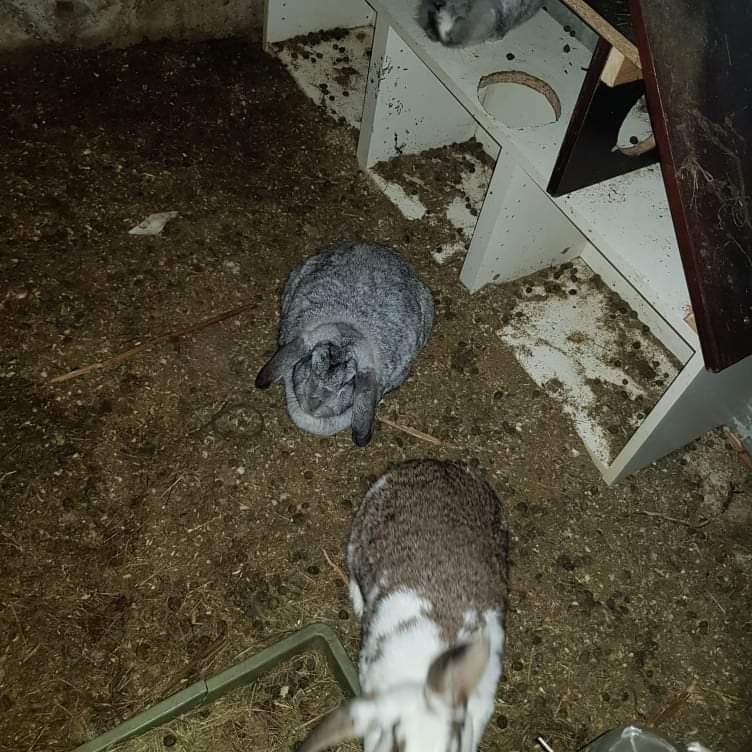 7207a9bc-7f2d-4a6a-af1b-26dc4b4d465e