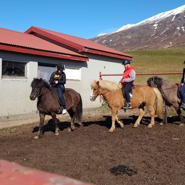 79a63378-0955-4907-9719-a81a37512efb