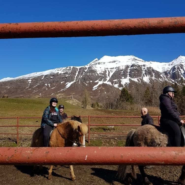 7bc99a2c-af5a-4588-889f-021339841bc8