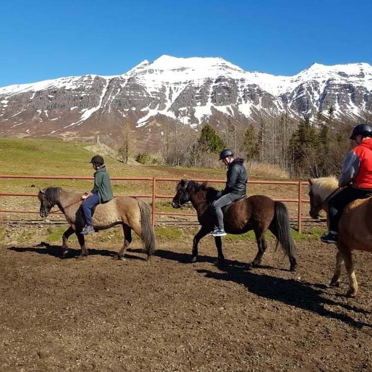 8ae655a6-0a23-46cf-9627-699eb8f0256e