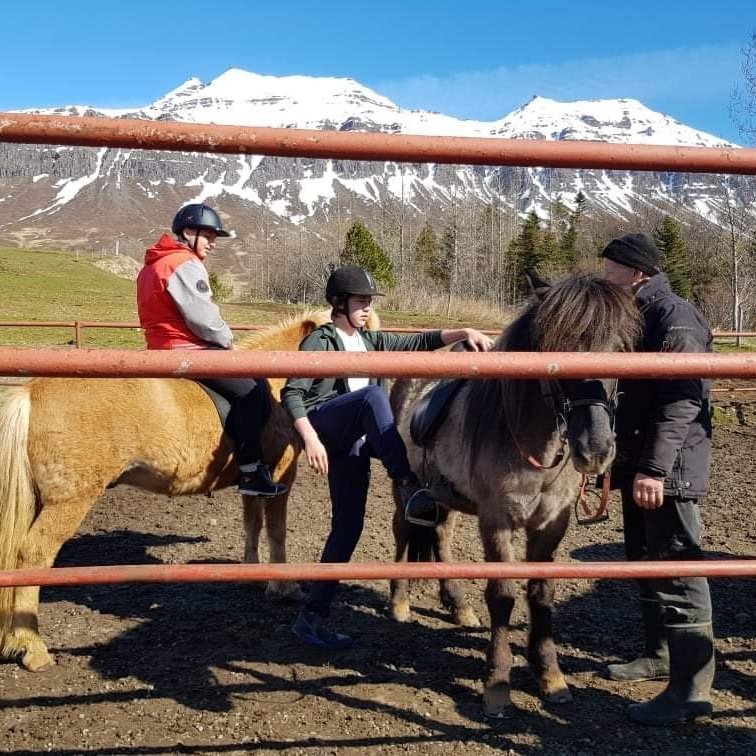 9a50b0f3-57a7-4bd2-b483-7b3d982832c5