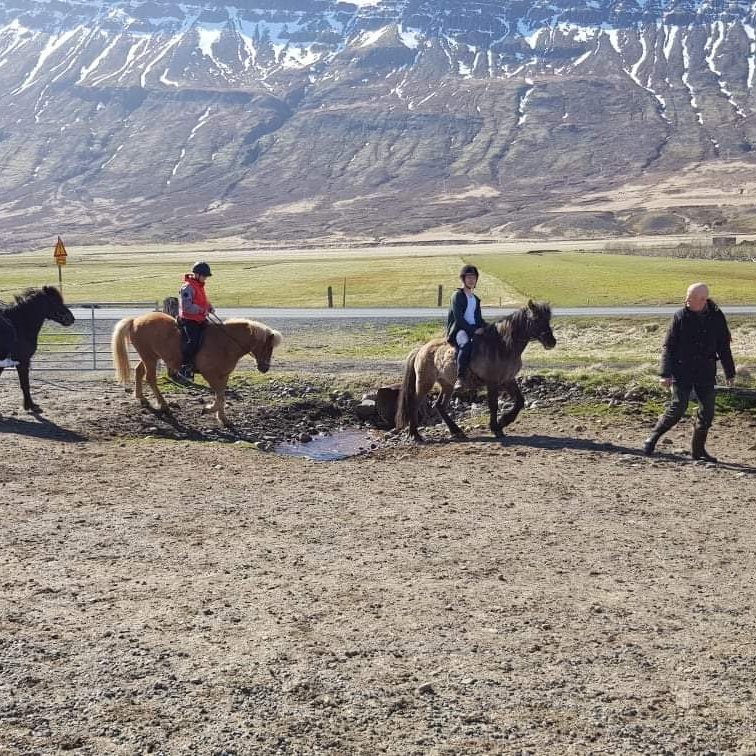 9bc58c56-56f7-4230-b7a8-01df90dfd2dd