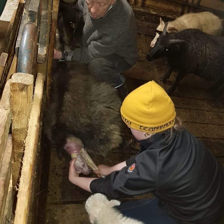 a4d6ffed-1801-4bed-bd1a-efbf95afc830