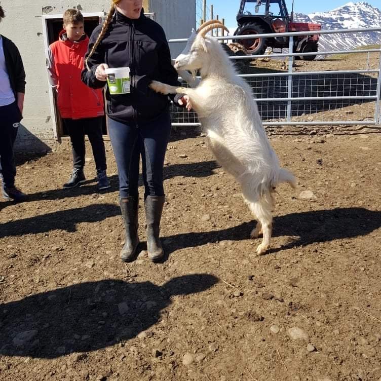 af0a3828-95f0-4f1e-943c-c3130df5f2c2