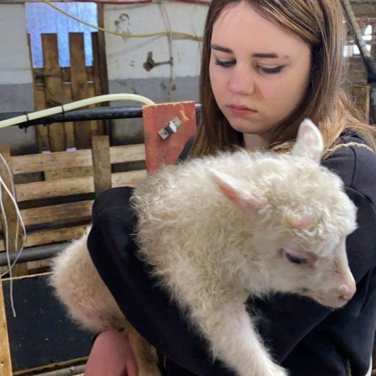 b36df655-d9fb-46bb-82e4-f8f3c8b36d73