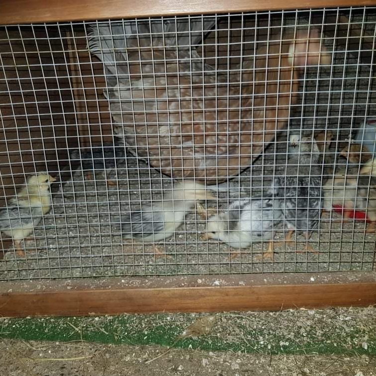 b6853ad5-d3d3-4063-bbbb-0005166fb10a