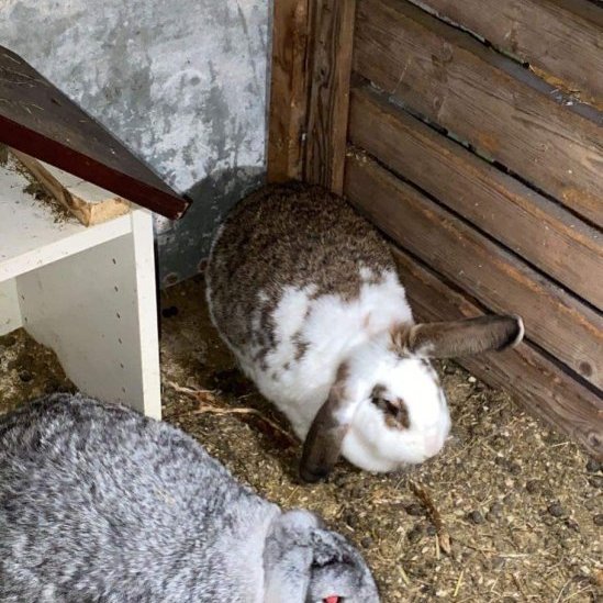 d23907d5-e59b-4d7a-9f68-e172c3c0fadf