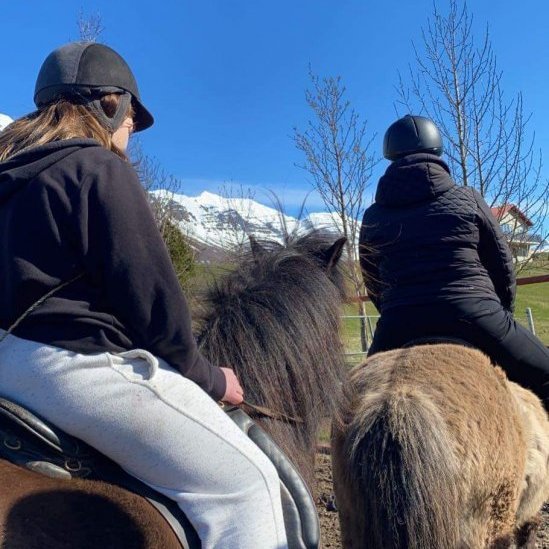 d3db8fe4-419d-4afe-825b-d4a98c247403