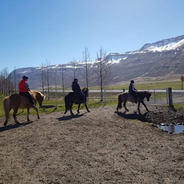 d8fefb14-7771-4716-97f2-0417538bbf22