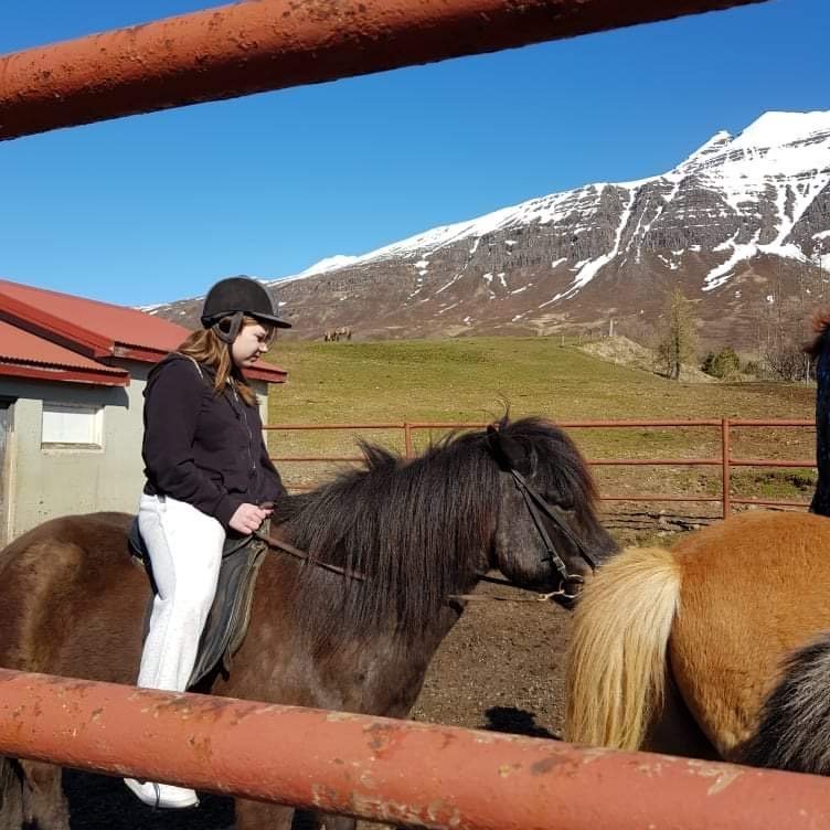 e84ed5cf-1ca7-43d5-98bd-56f3f29c697c