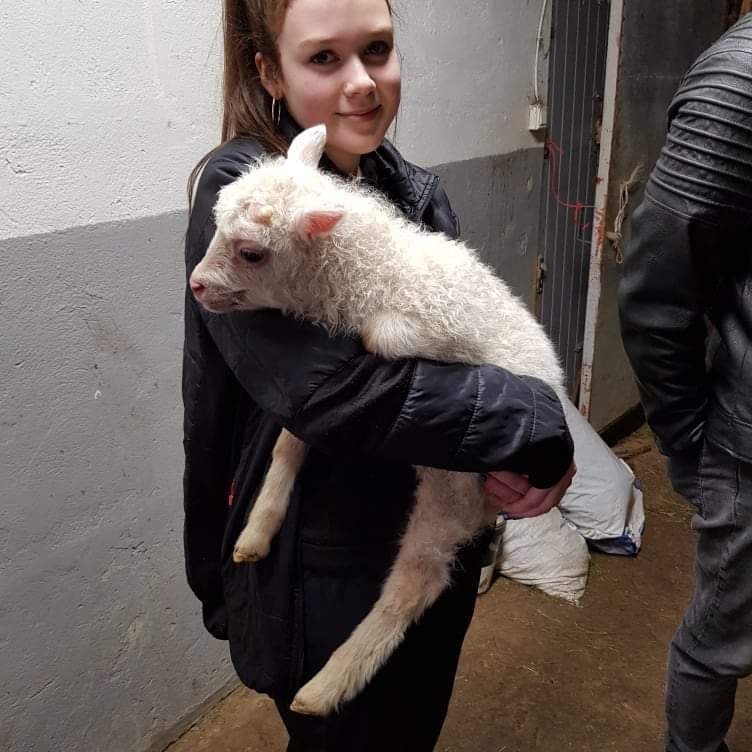 eb1779e9-ecae-47ce-ac7b-48fa9ca14681