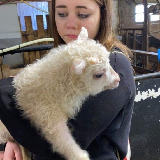 ed86366f-f8ae-4b73-af8e-f2efb3edcd78