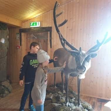 0fae82ad-d61f-4970-b1ae-b5eb55692667