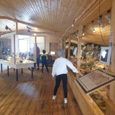 63d856a2-8cee-43fe-9003-424488f7dca5